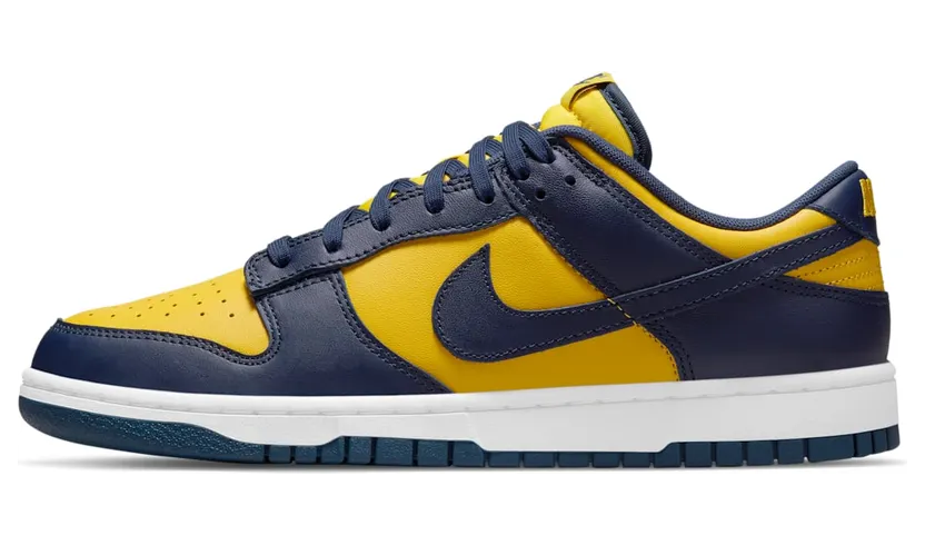 Nike Dunk Low DD1391-700