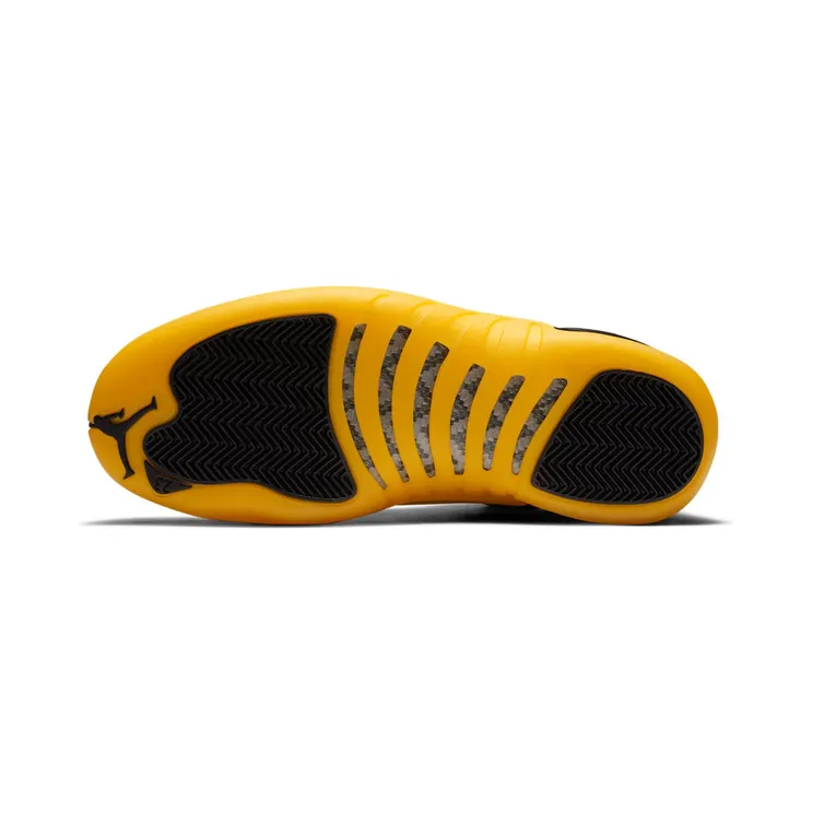 air-jordan-12 130690-070