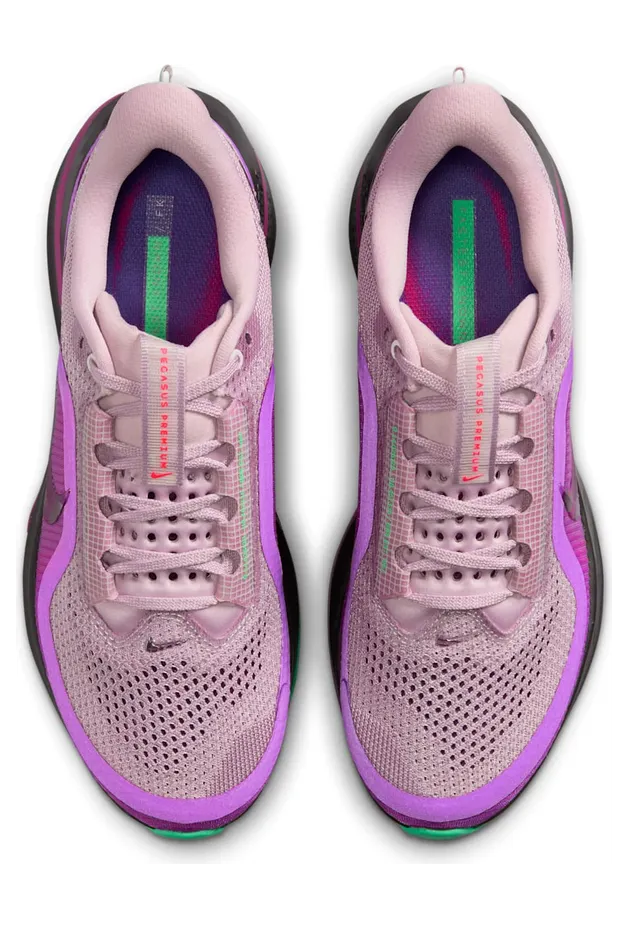 nike-air-pegasus II0602-500
