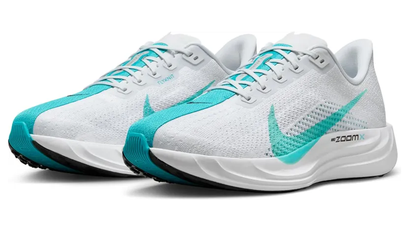 nike-air-pegasus FQ7262-004
