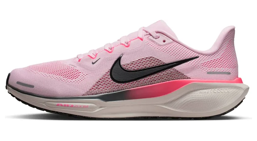 nike-air-pegasus FD2722-604