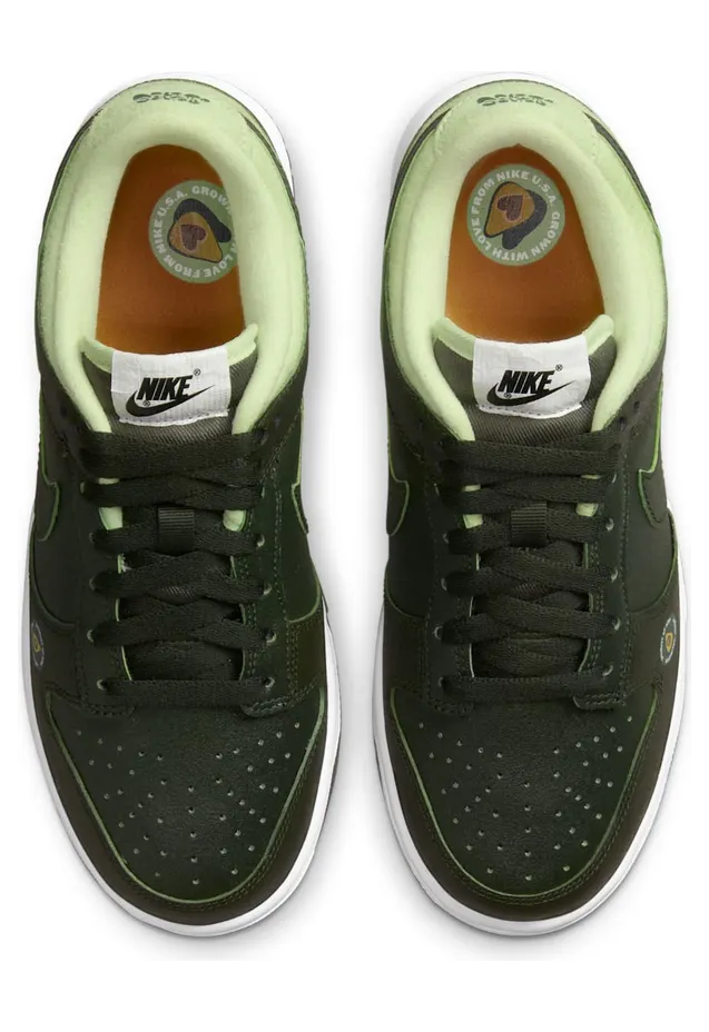 nike-dunk DM7606-300
