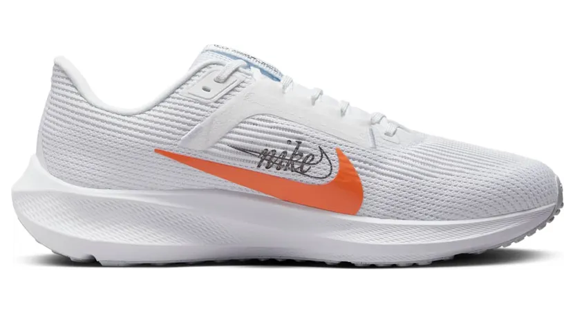 nike-air-pegasus FB7179-100