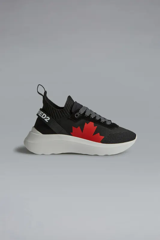 Dsquared2 sneaker (11968560MH)