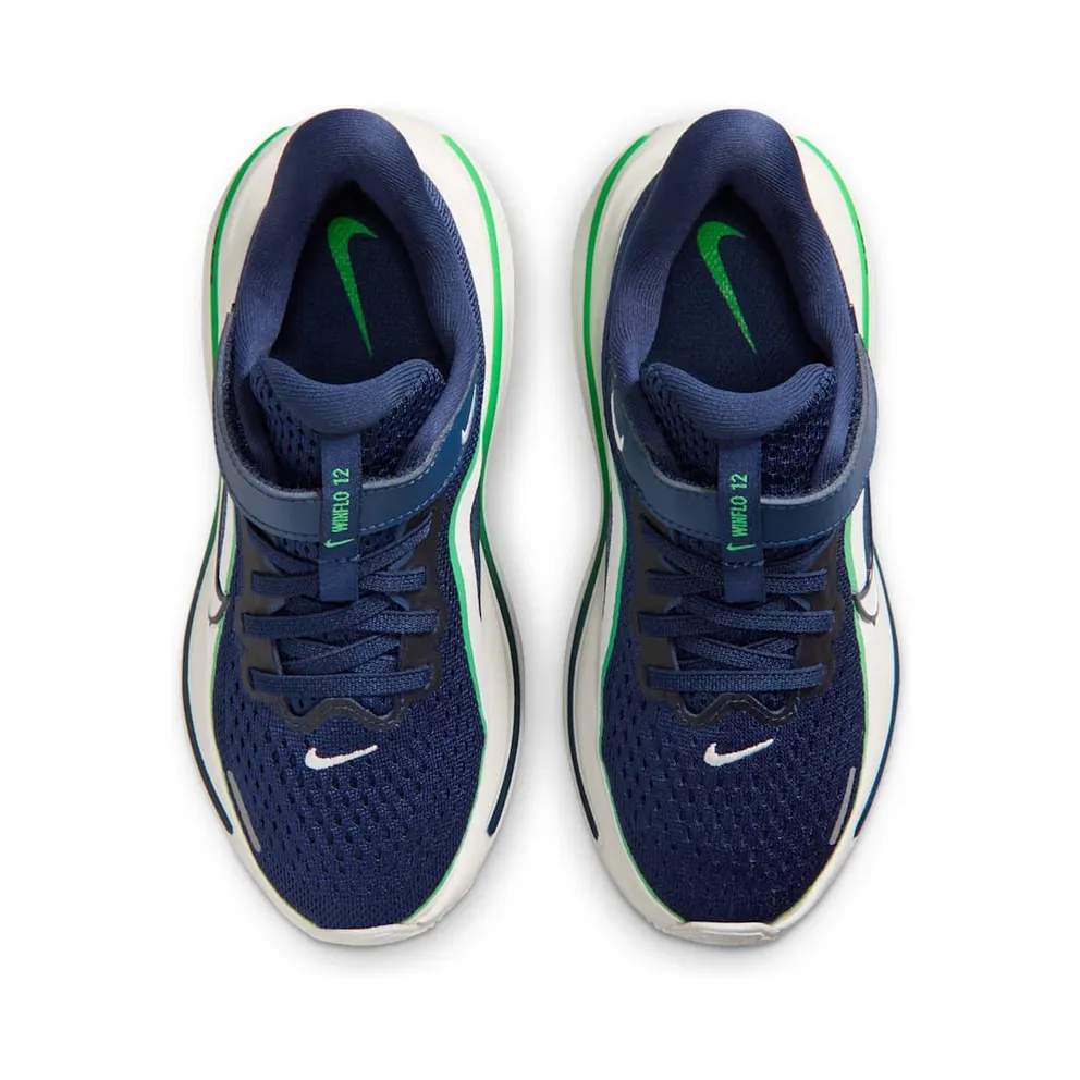 Nike Winflo 12 Blue (IQ9768-400)