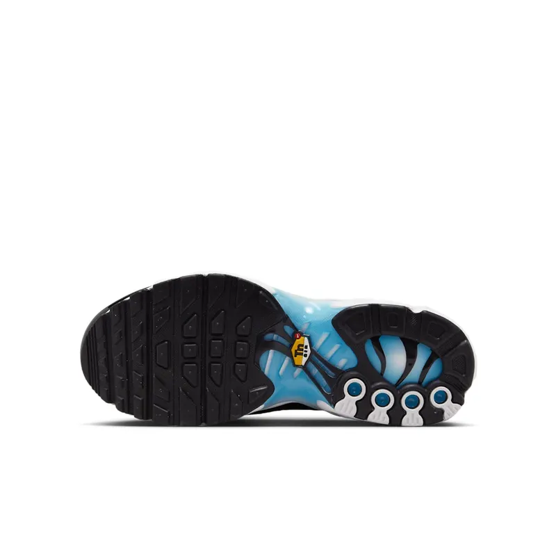 Nike Air Max Plus Ice (FD9767-100)