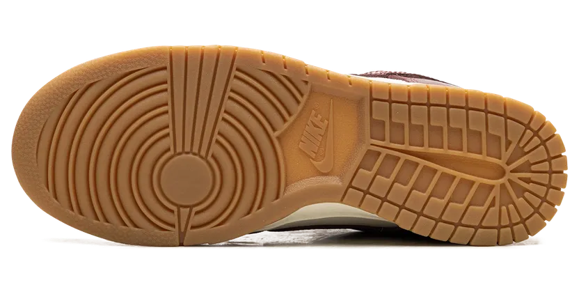 nike-dunk FJ2260-004