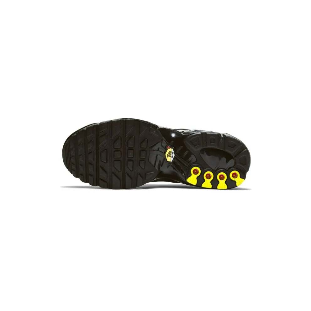Nike Air Max Plus Black Gold (GS) (CD0609-011)