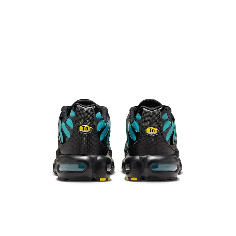 Nike Air Max Plus Black Dusty Cactus (DM0032-016)