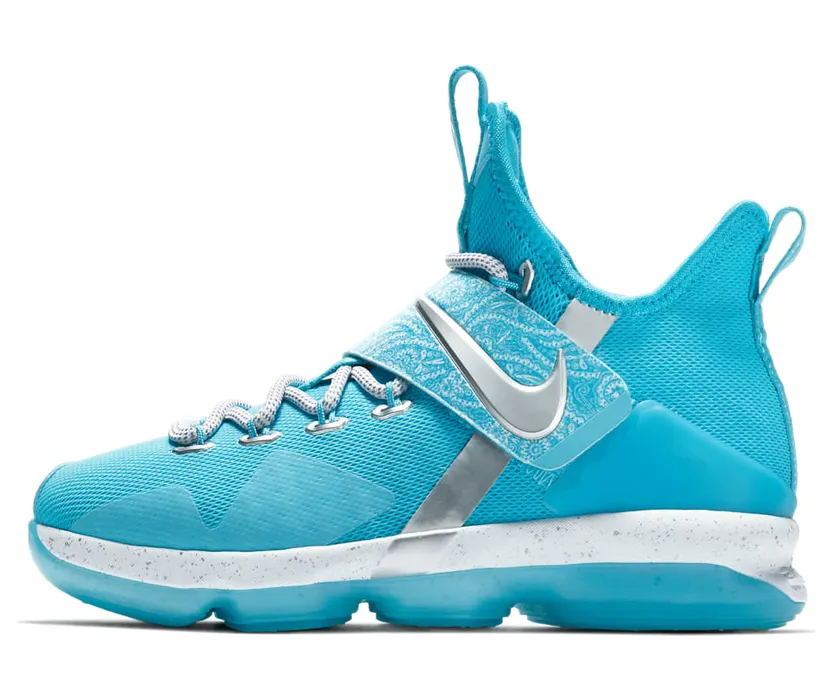 Nike LeBron 14 Ric Flair (GS)