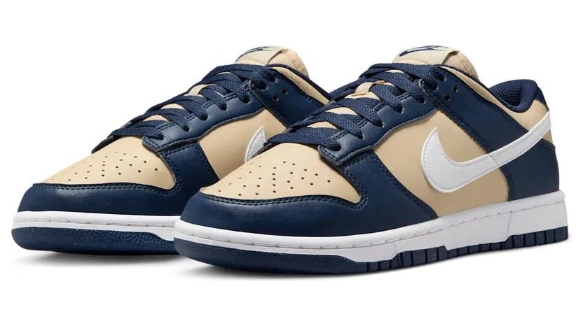 nike-dunk DD1873-401