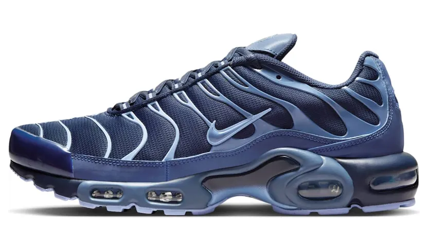 Nike Air Max Plus Obsidian Aluminum (IM6601-451)