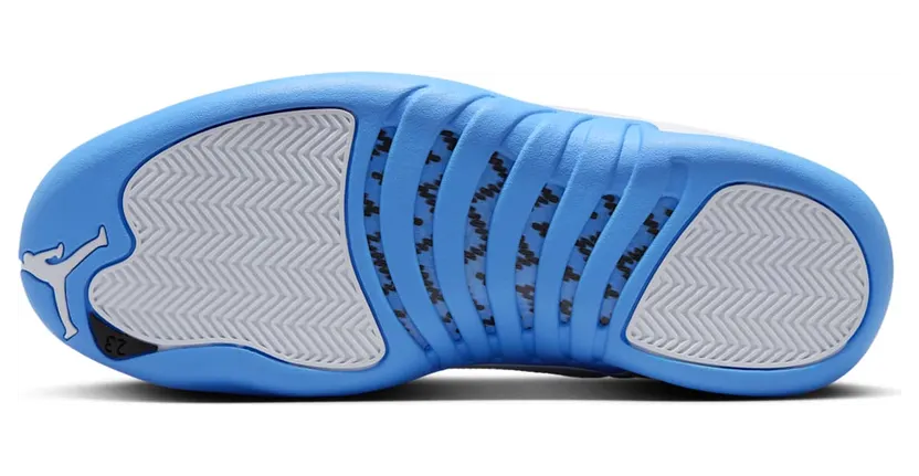 air-jordan-12 CT8013-112