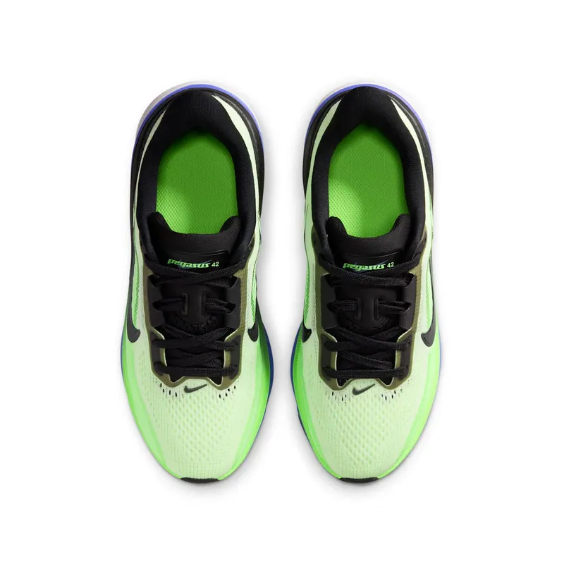 Nike Pegasus Volt Tint/Sapphire/Lime Blast/Black Spruce (IH2306-700)