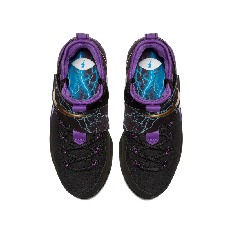 Nike LeBron 14 The Undertaker (GS) Hyper Grape/Metallic Gold-Black (AA3258-590)