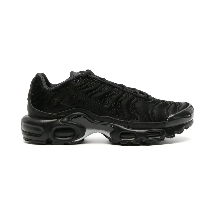 Nike Air Max Plus met borduurwerk “Black” (FV1169)