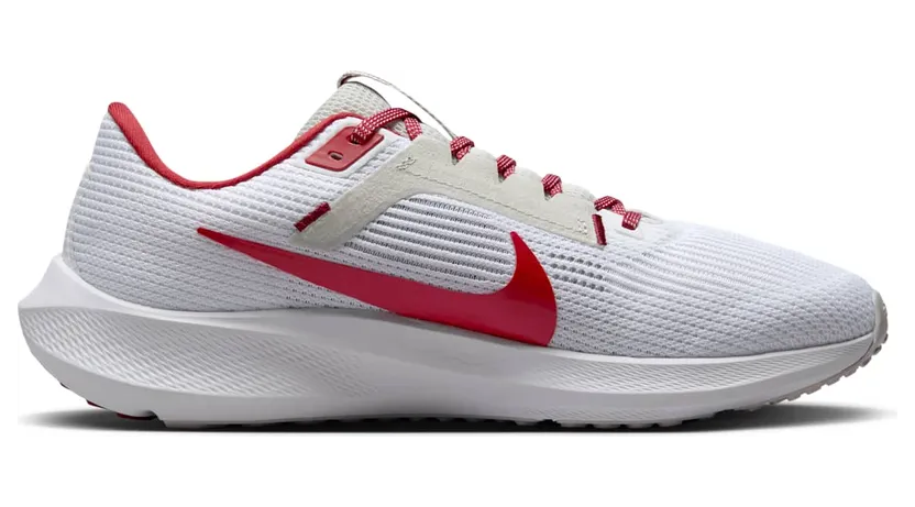 nike-air-pegasus DZ5972-100