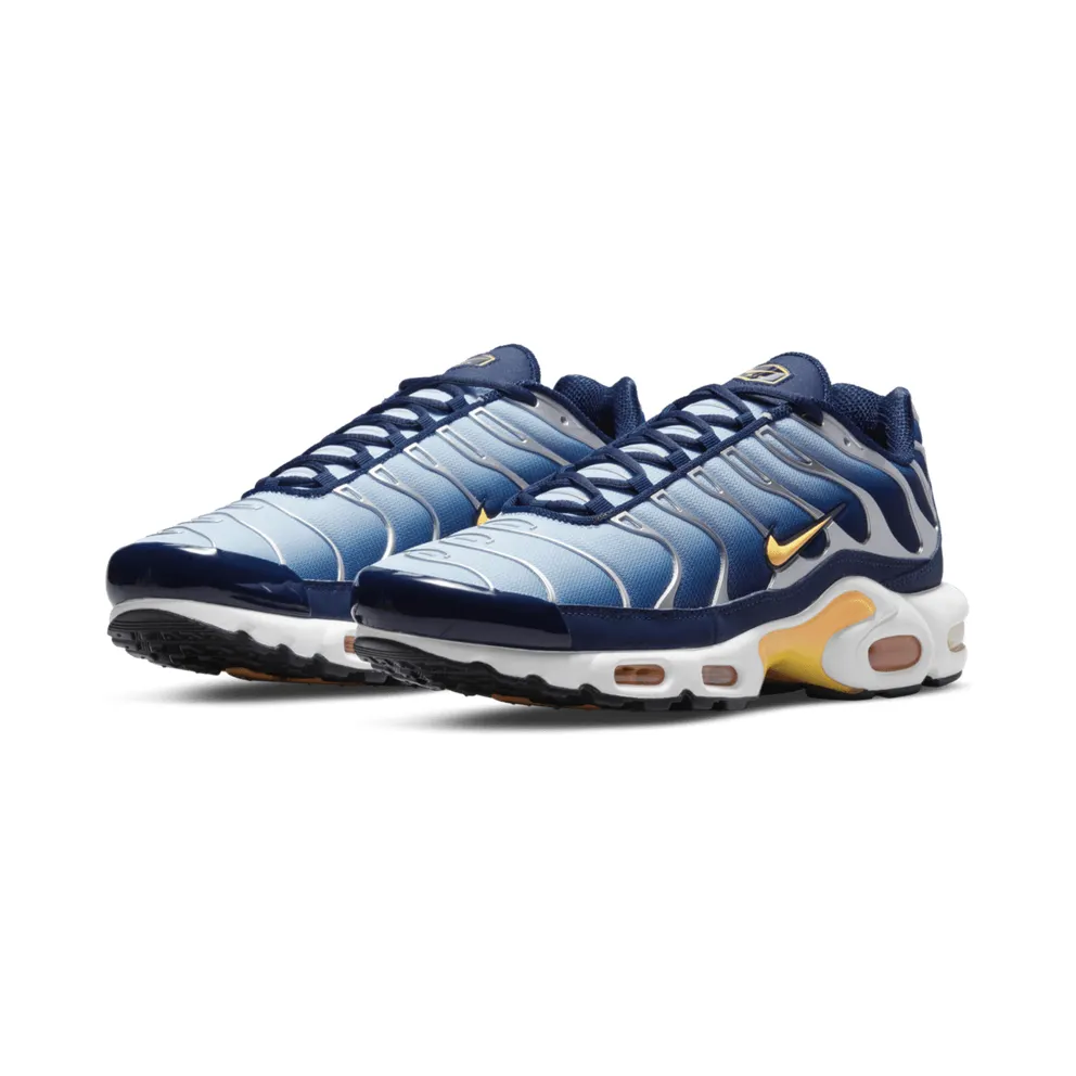 Nike Air Max Plus Blue (DM3530-400)