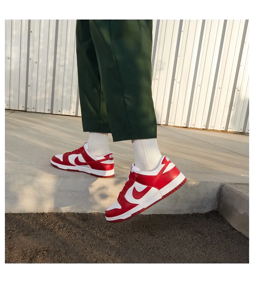 nike-dunk DN1431-101