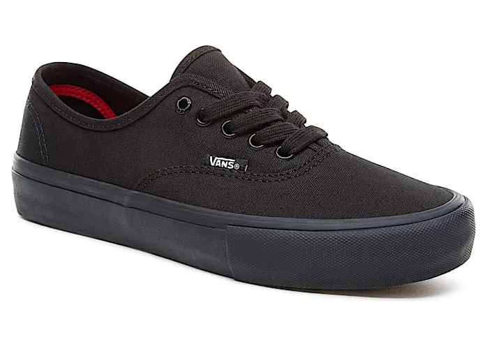 vans-authentic-pro VN000Q0DBKA