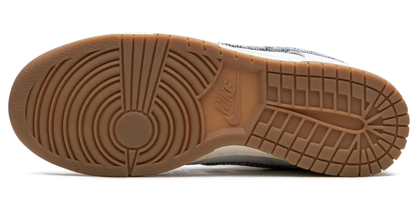 nike-dunk FN6881-100
