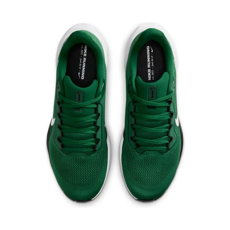 nike-air-zoom IB3207-300
