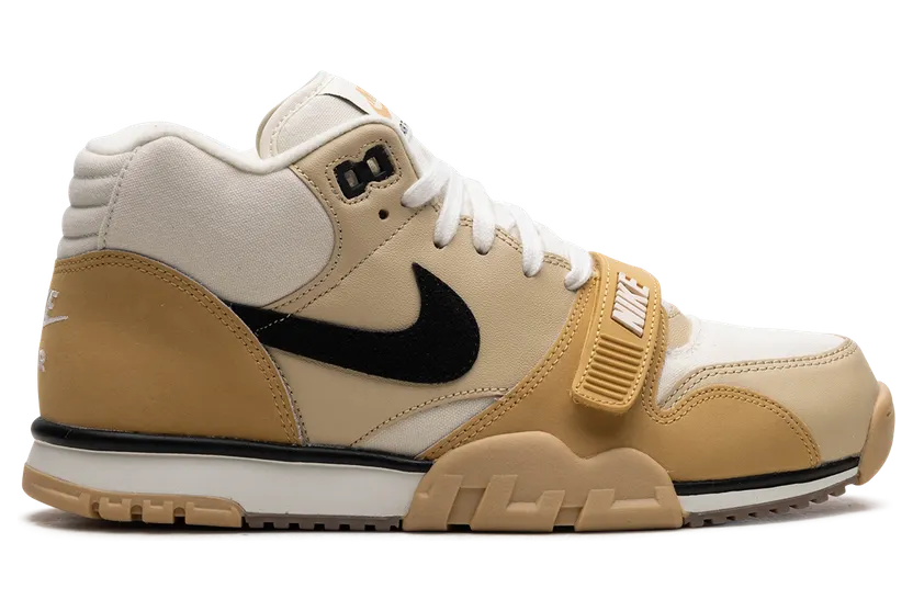 air-jordan-trainer-1 DV7201-100