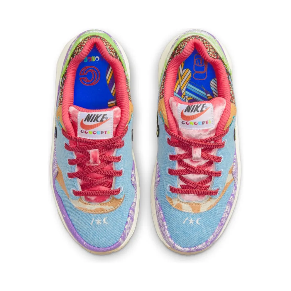Nike Air Max 1 SP Concepts Far Out (PS) (DR2362-100)