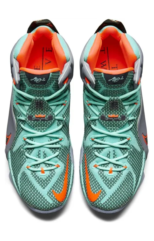 nike-lebron-12 684593-301