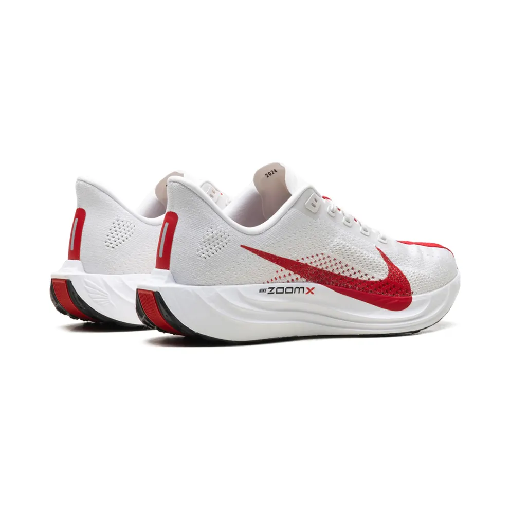 Nike Pegasus Plus “Platinum Tint University Red” (FQ7262-003)