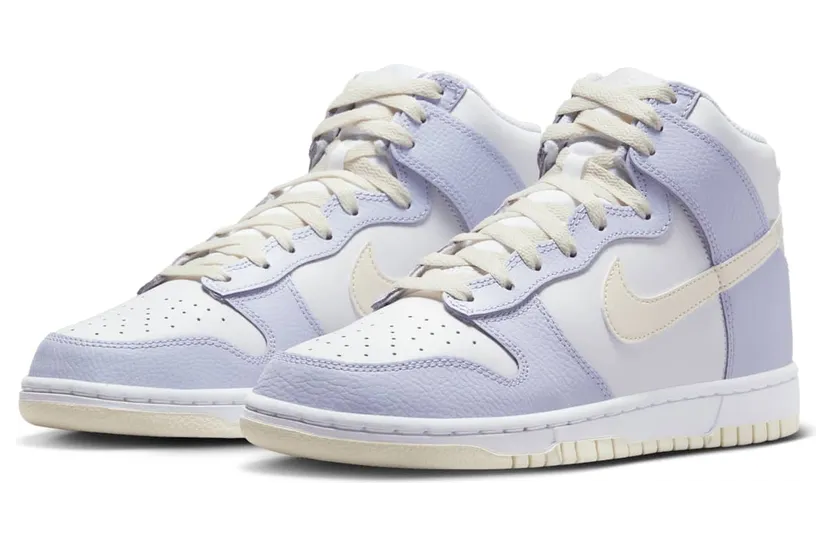 nike-dunk FN3504-100