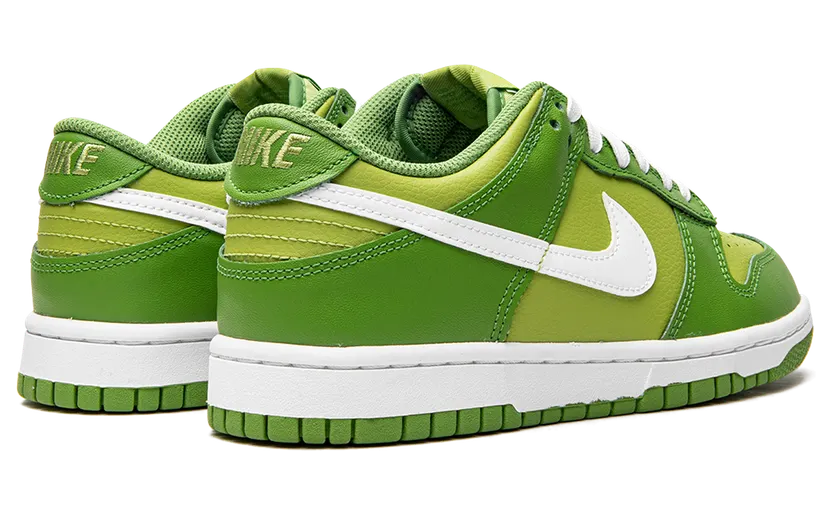 nike-dunk DH9765-301