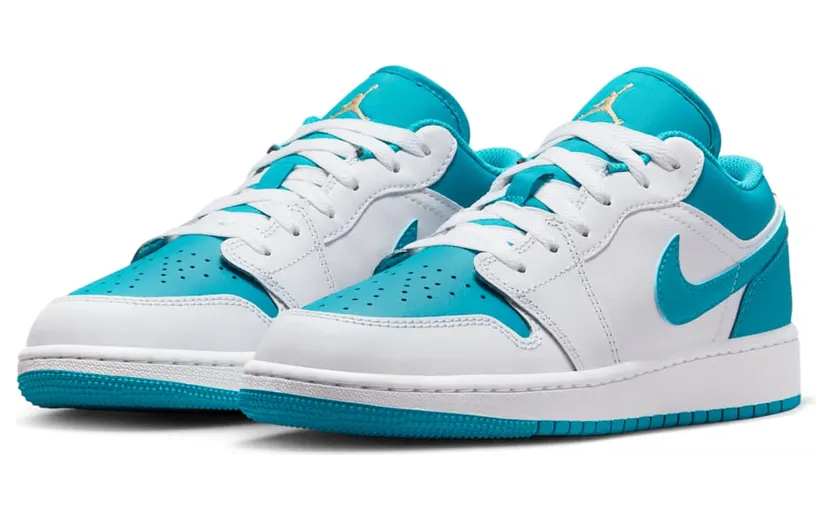 air-jordan-1 553560-174