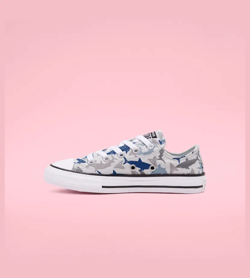 converse-chuck-taylor-all-star 666890C