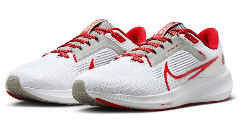 nike-air-pegasus DZ5969-100