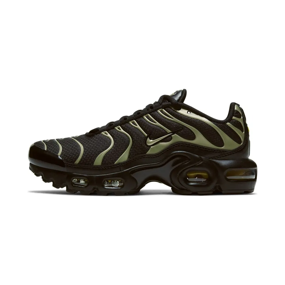 Nike Air Max Plus Black Gold (GS) (CD0609-011)