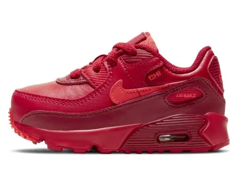 Nike Air Max 90 City Special Chicago (TD) (DH0153-600)