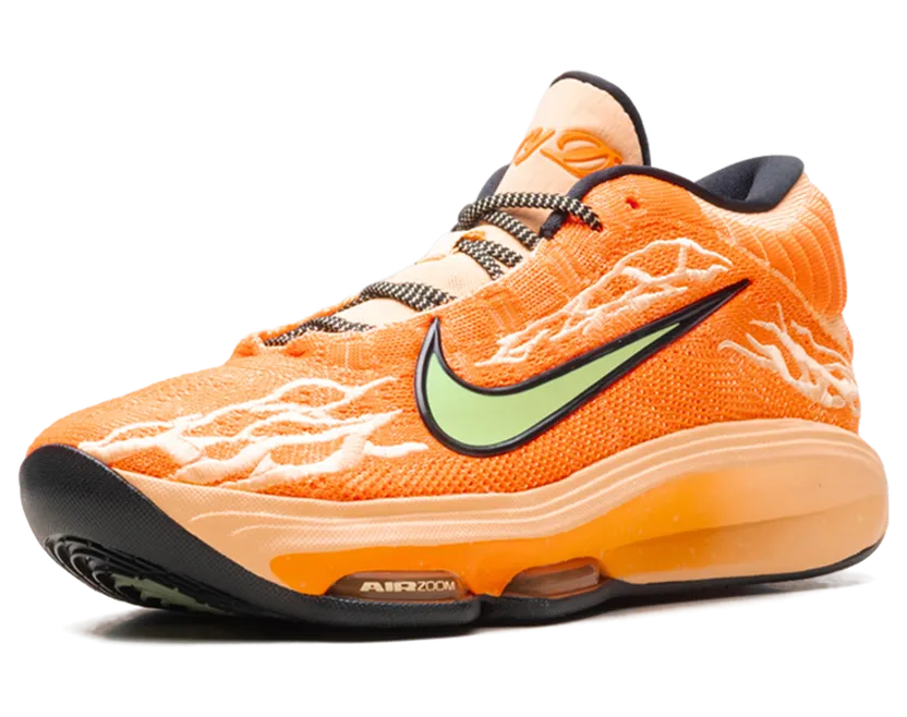 nike-zoom FV5953-801