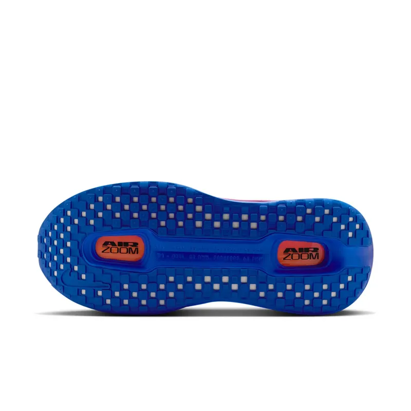 Nike Vomero Premium (HQ2050-600)