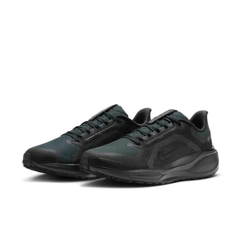 Nike Air Zoom Pegasus 41 GTX “Black Anthracite” (FQ1356-001)