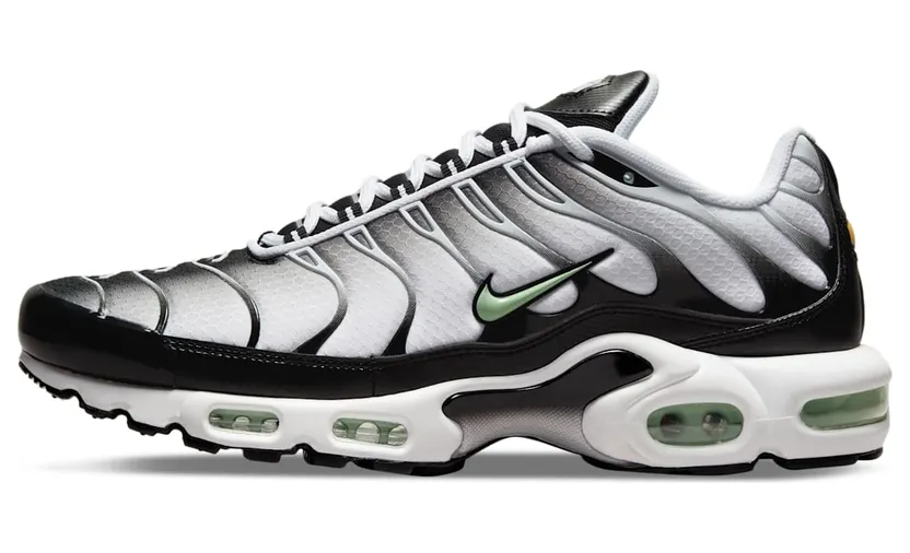 Nike TN Air Max Plus Seafoam Grey Black (DH4776-100)