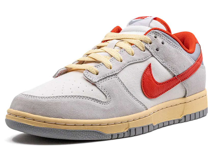 nike-dunk FJ5429-133