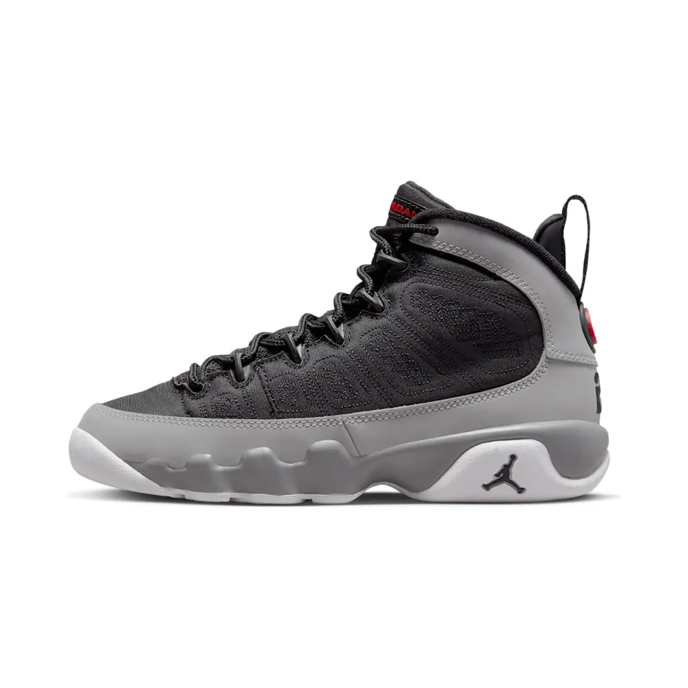 Air Jordan 9 Retro Particle Grey (GS) (302359-060)