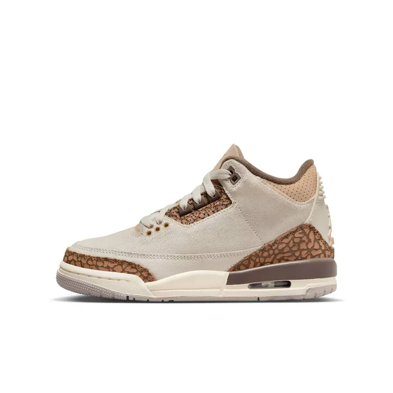 Air Jordan 3 GS “Palomino” (DM0967-102)