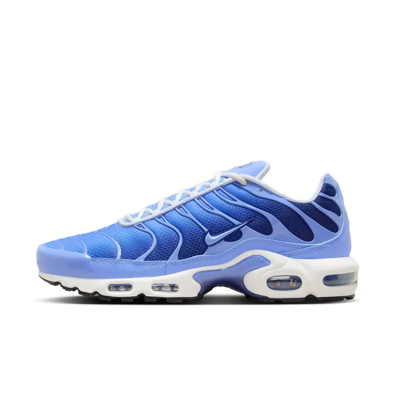 Nike Air Max Plus Blue (DM0032-403)