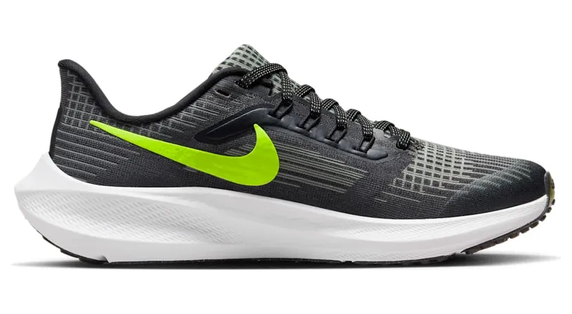 nike-air-pegasus DM4015-002