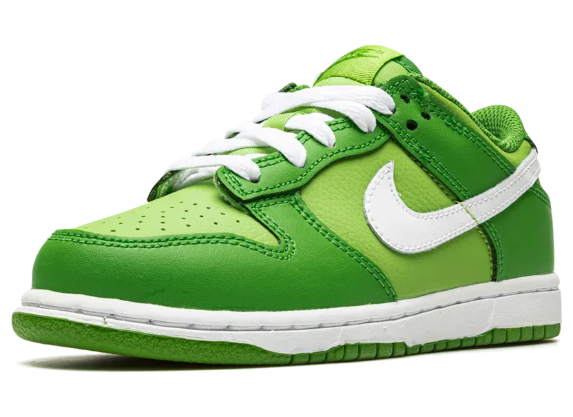 nike-dunk DH9756-301