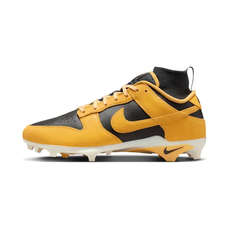 Nike Alpha Menace Dunk “Iowa” (HV6925-001)