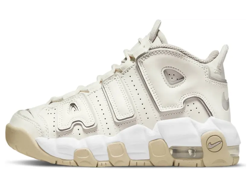 Nike Air More Uptempoen Grijs (DM1026-001)