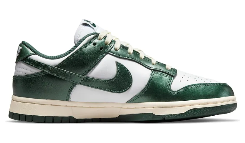nike-dunk DQ8580-100